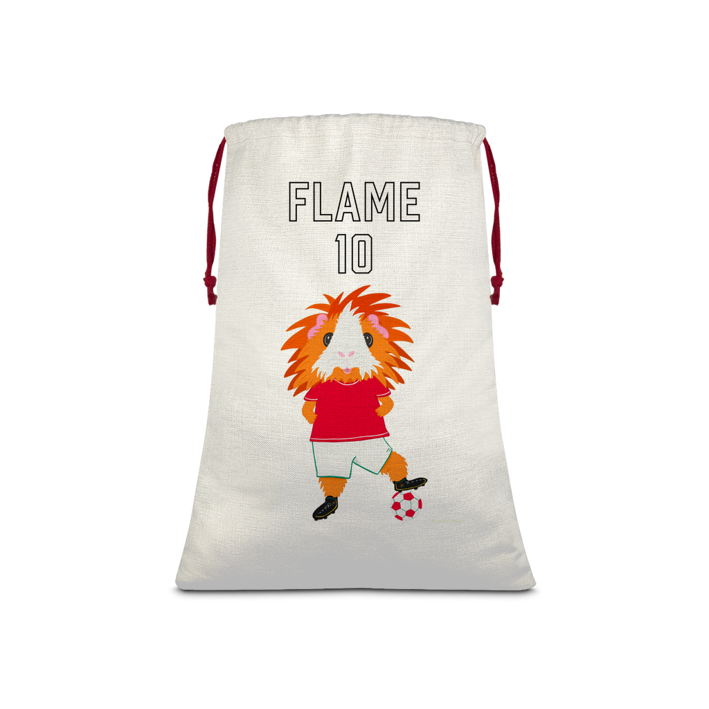 Drawstring Sack - Flame the Footballer Guinea Pig