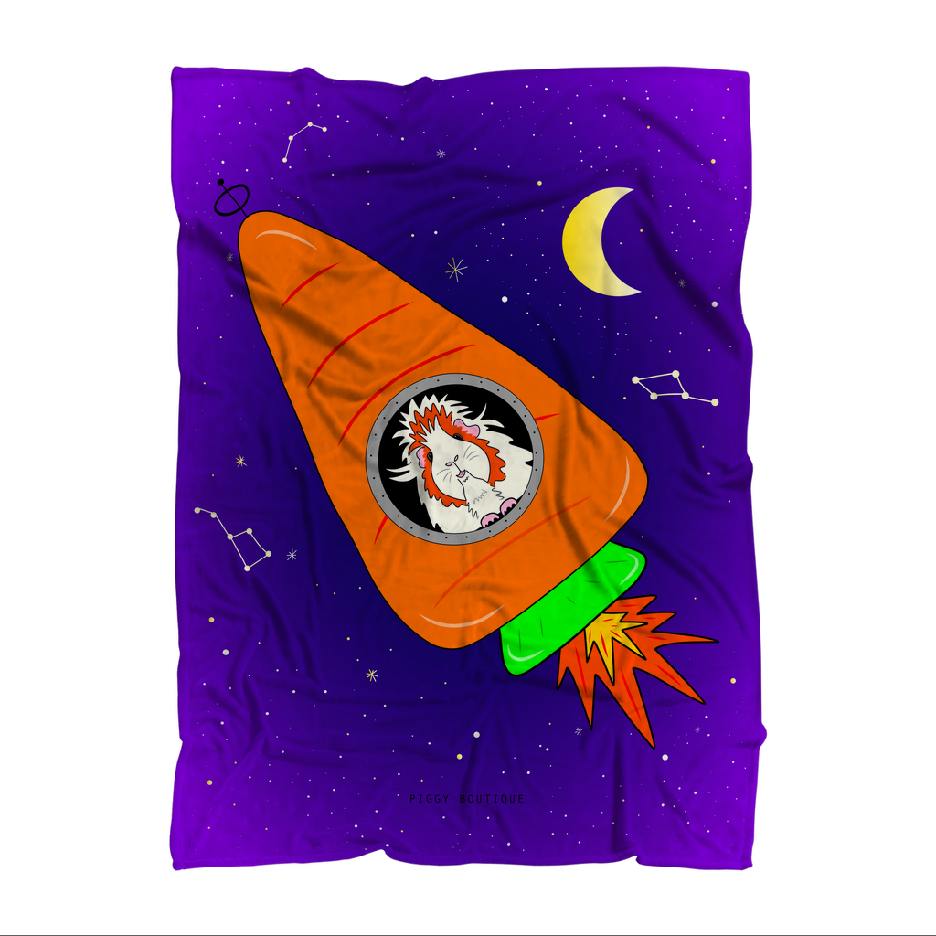 Guinea Pig Blanket - Space Rocket Pickle Piggy